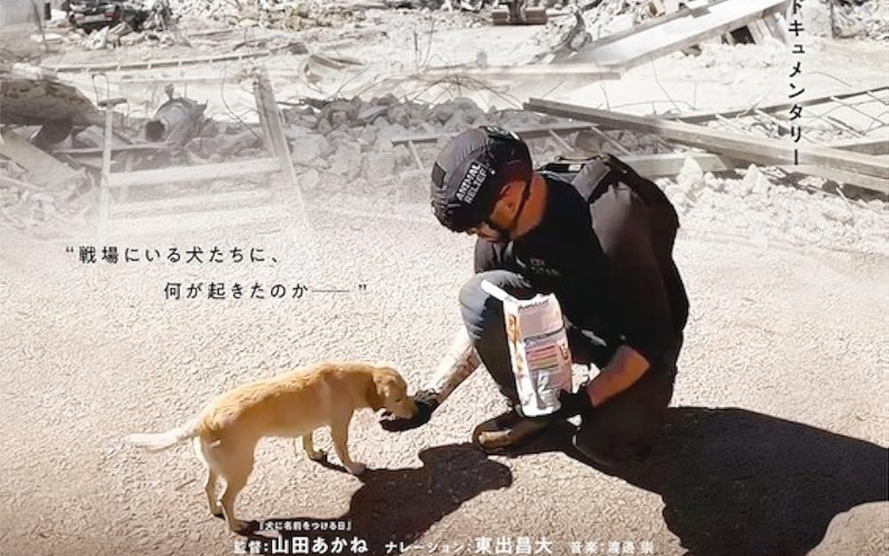 《戰火下的毛孩》