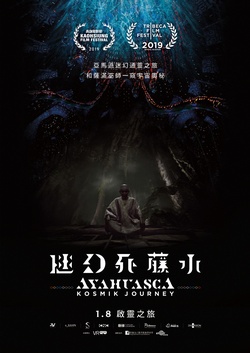 迷幻死藤水