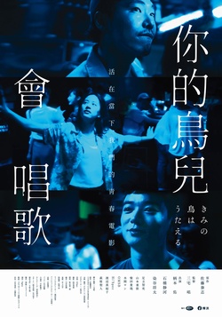 你的鳥兒會唱歌