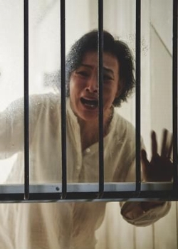 消失的金鳳娜