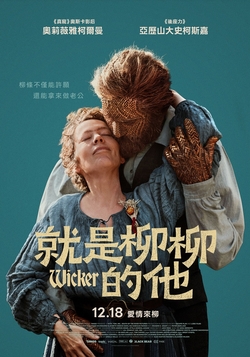 就是柳柳的他